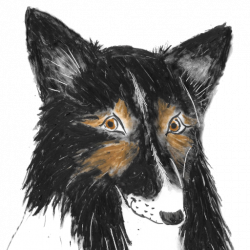 Les aventures de Watch Le Berger